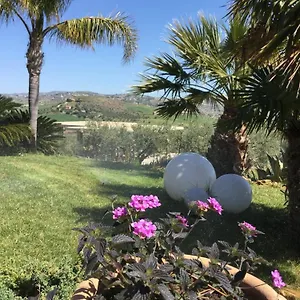 https://bb-il-colle-del-rustico.sicilyhotelsitaly.net